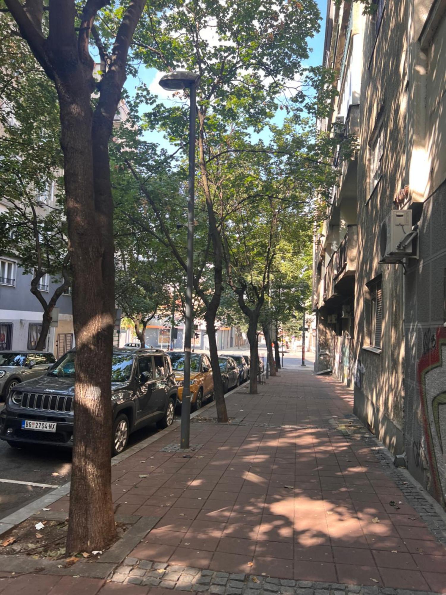 Town Place Charlie Belgrad Dış mekan fotoğraf